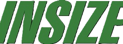 Insize